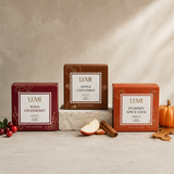 LUMI - Fall Wild Cranberry Black Tea -  5 Premium Tea Bags