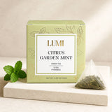 LUMI - Citrus Garden Mint Green Tea - 5 Premium Tea Bags