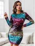 Sequin Round Neck Long Sleeve Mini Dress